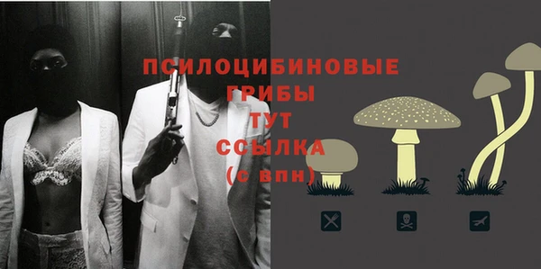 мет Няндома