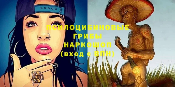 ПСИЛОЦИБИНОВЫЕ ГРИБЫ Нязепетровск