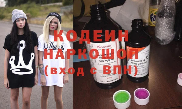 мет Няндома