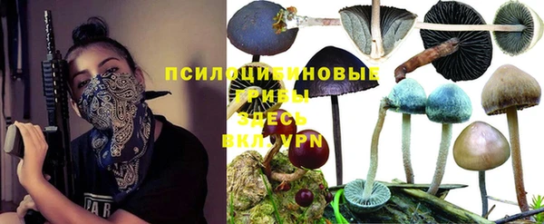 ПСИЛОЦИБИНОВЫЕ ГРИБЫ Нязепетровск
