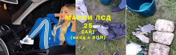ПСИЛОЦИБИНОВЫЕ ГРИБЫ Нязепетровск