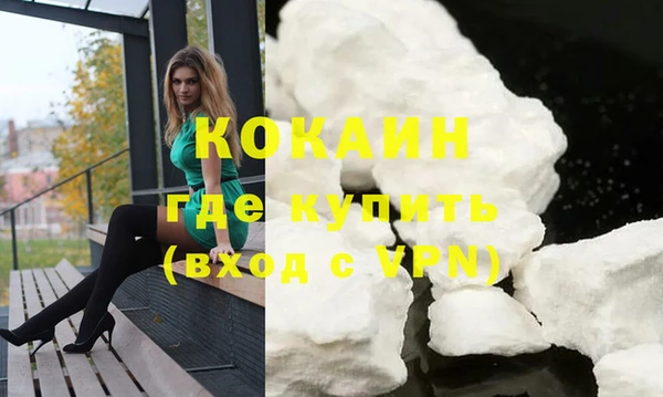 мет Няндома
