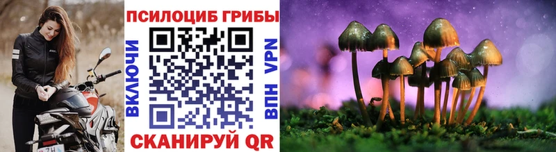 Псилоцибиновые грибы GOLDEN TEACHER Красноармейск