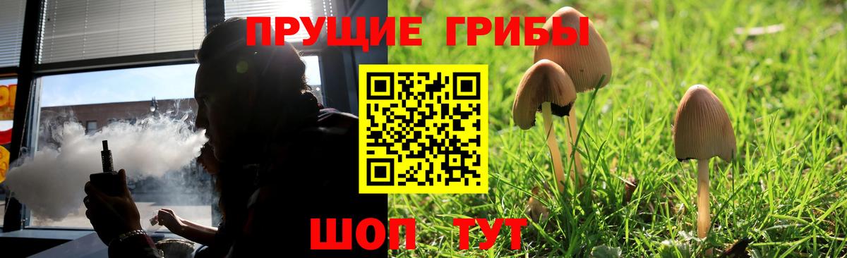 Галлюциногенные грибы ЛСД Красноармейск
